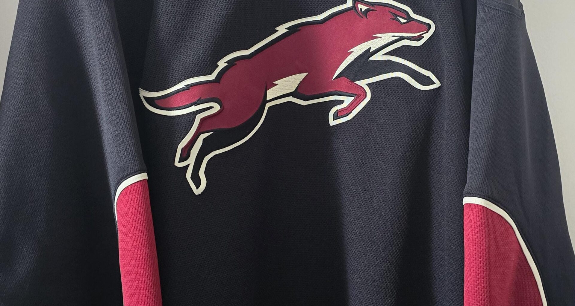 Rate my Halloween costume :((((((