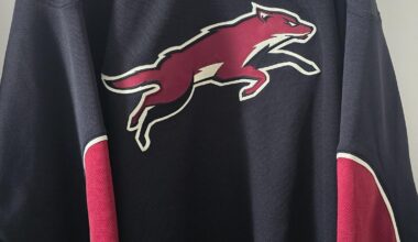 Rate my Halloween costume :((((((