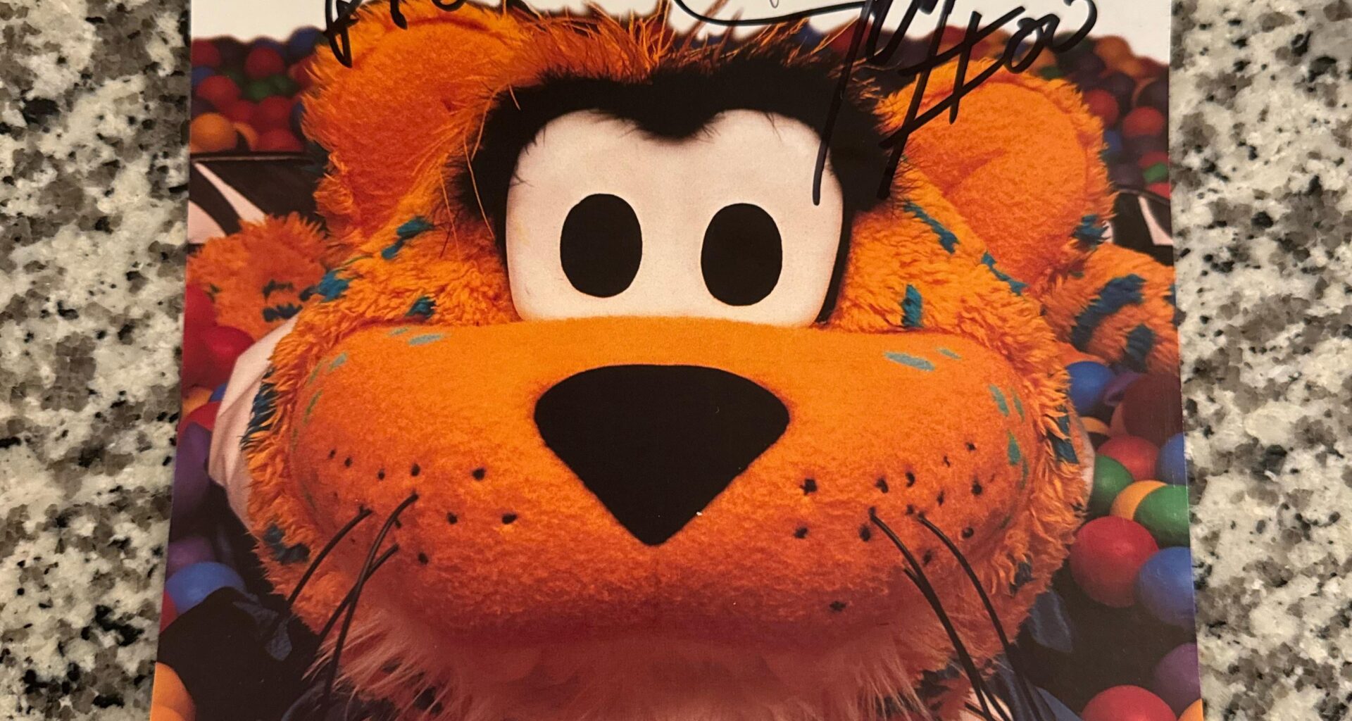 Found an old signed photo late 90’s early 00’s (I think). Can anyone identify these signatures?