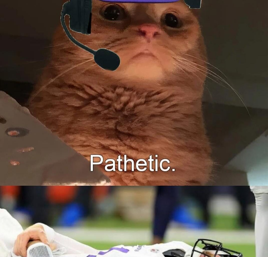 Kevin O'Connell watching his QB literally dying on the field