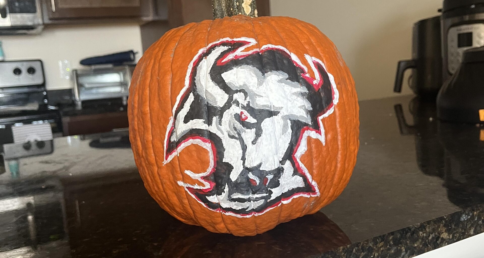 Happy Halloween, go sabres!!