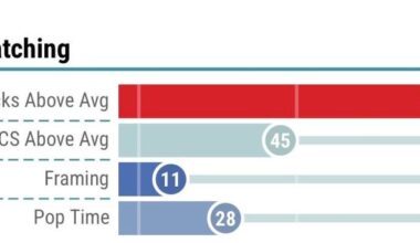 Stephenson was a brick wall behind the plate this year