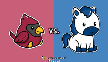 Arizona Cardinals Week 6 Matchup Doodle :)