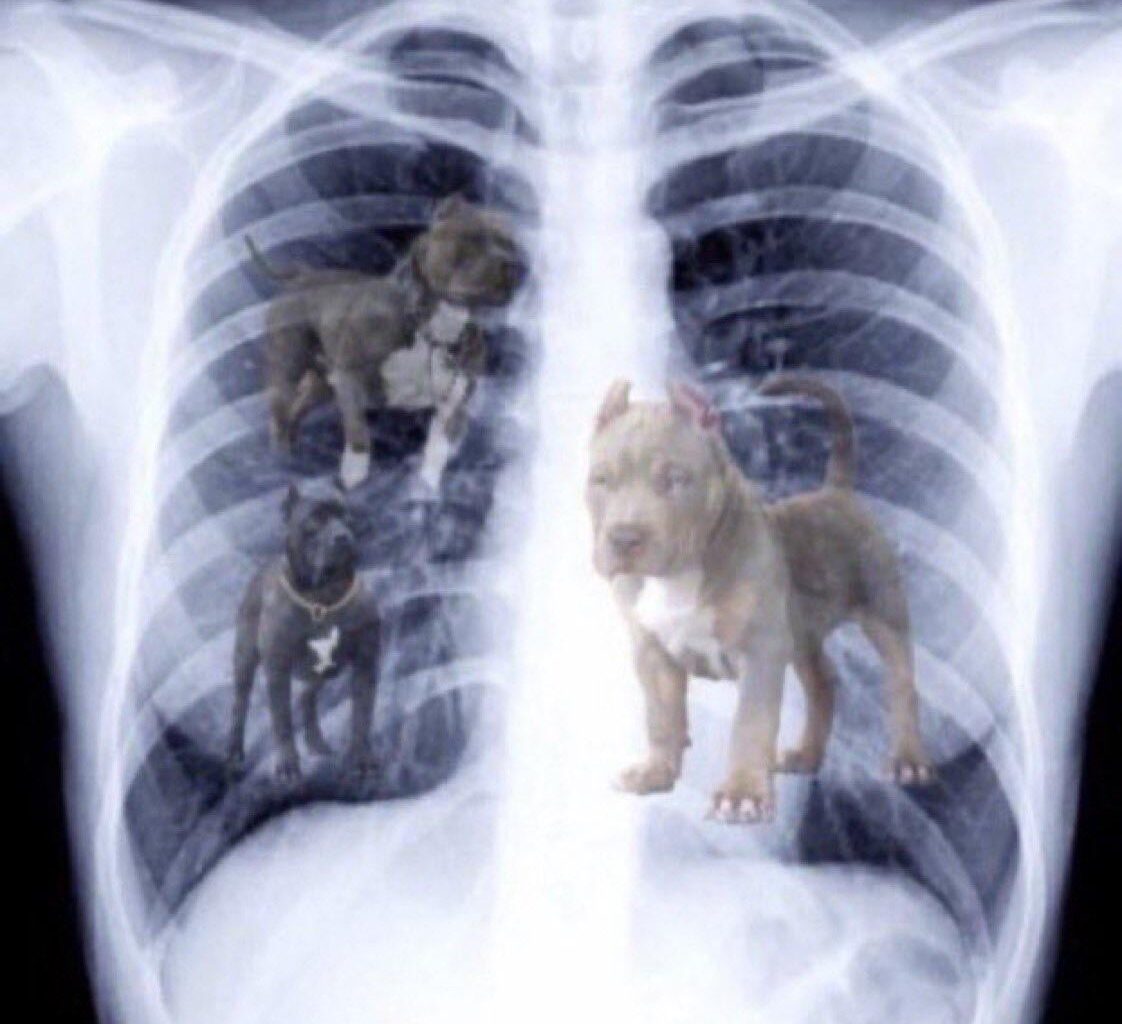 Mac Jones had an X-ray after the game.