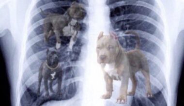 Mac Jones had an X-ray after the game.