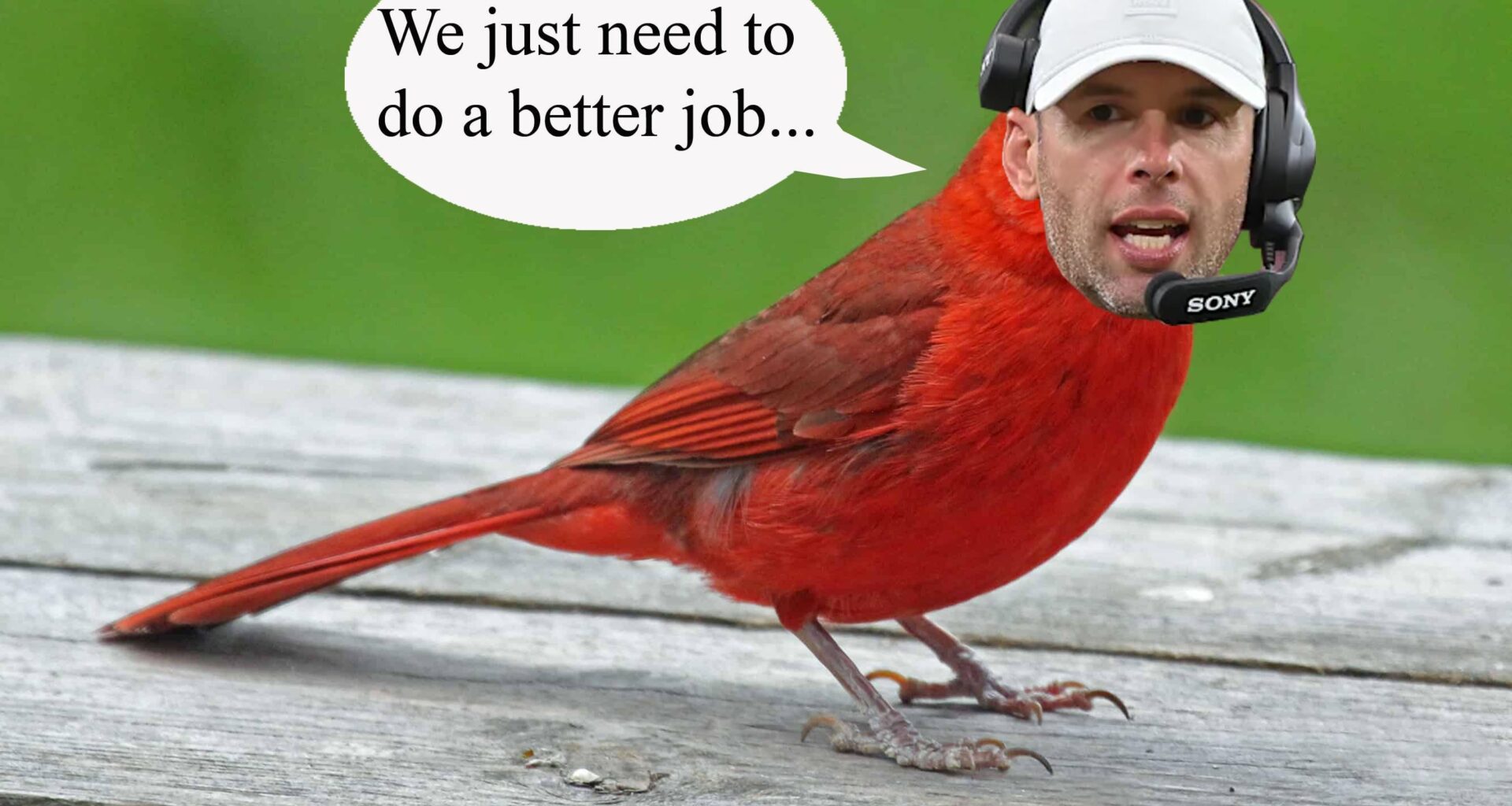 The VERY COMMON 'We just need to do a better job' Cardinal