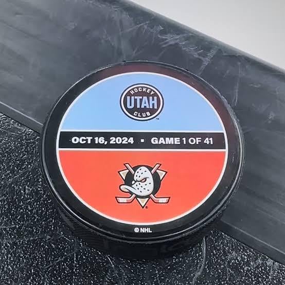 ISO: Warm Up Puck