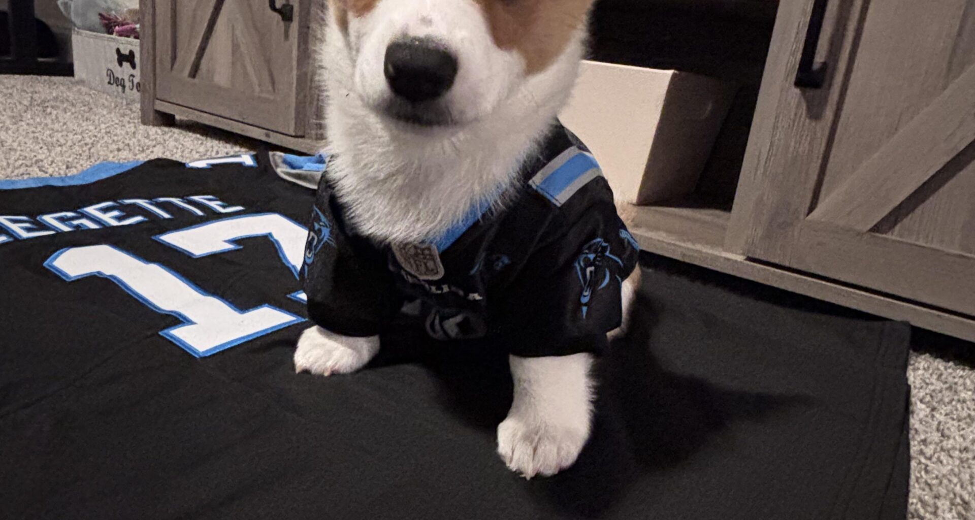 Murphy vs. the Bills