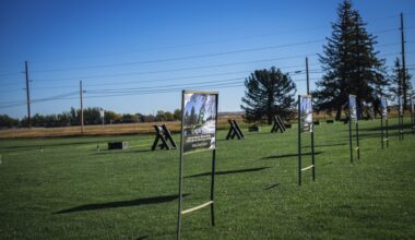 KNEB-AM 960 AM – 100.3 FM - State Golf Report: Scottsbluff’s Peck in hunt in Class B, plus Class C update - Rural Radio Network