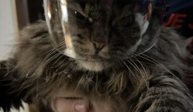 Your weekly /r/bluejackets roundup for the week of October 15 - October 21, 2025