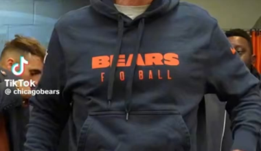 Just a absolute culture refresh🐻⬇️.