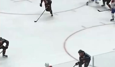 Nick Cousins fined $2,148 for slashing Ivan Demidov