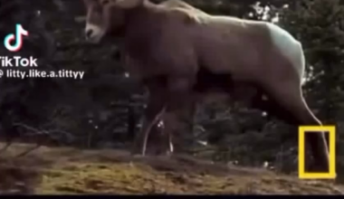 K Dot’s story on Instagram!