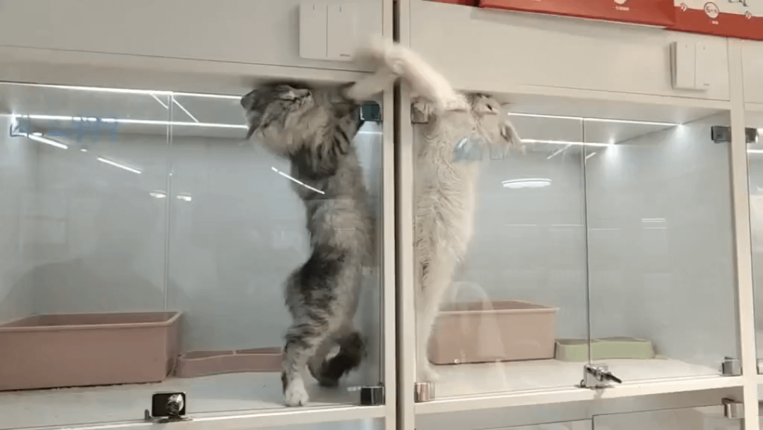 Something about this just feels like it needs to be here.