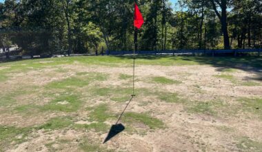 The greens at the Leo J. Martin golf course in Weston are more browns.