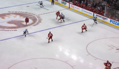 Goaltender Interference makes no sense