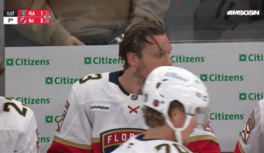 Goalie Interference?