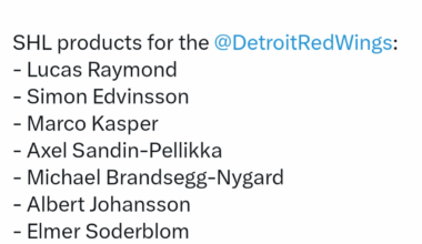 Yes indeed. The SHL has been very good to the Red Wings organization recently!!!