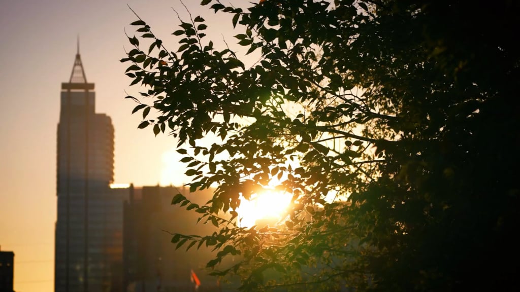 This is what you asked for.