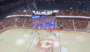 Saddledome celebrates as the Toronto Blue Jays take Canada back to the World Series 🇨🇦