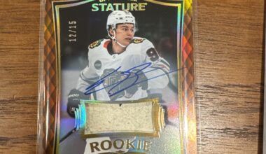 Nice little UD Stature hit!!