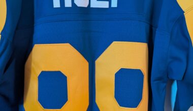 Went with a classic for my next jersey!