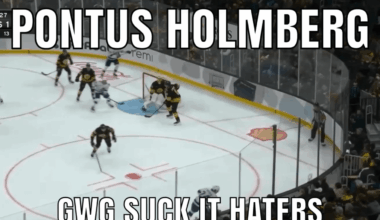 Re-posting this cause it got bopped on r/hockey