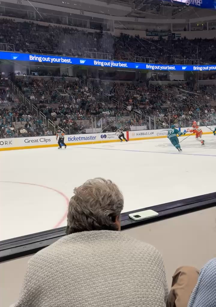 sharks fans were being assholes this game