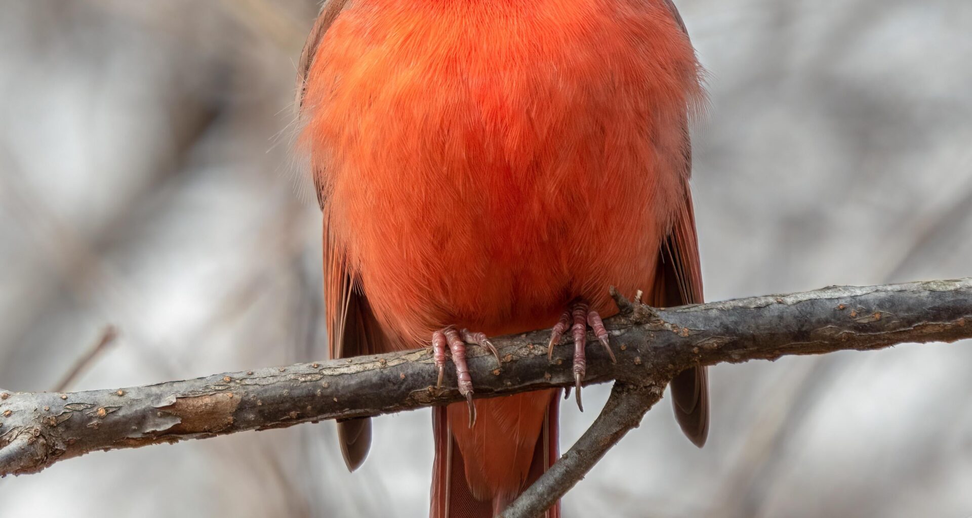 We gonna destroy Dallas on Monday …….! Let’s goooo!!