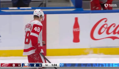 'You want a slash or a cross check?' - NHL Ref