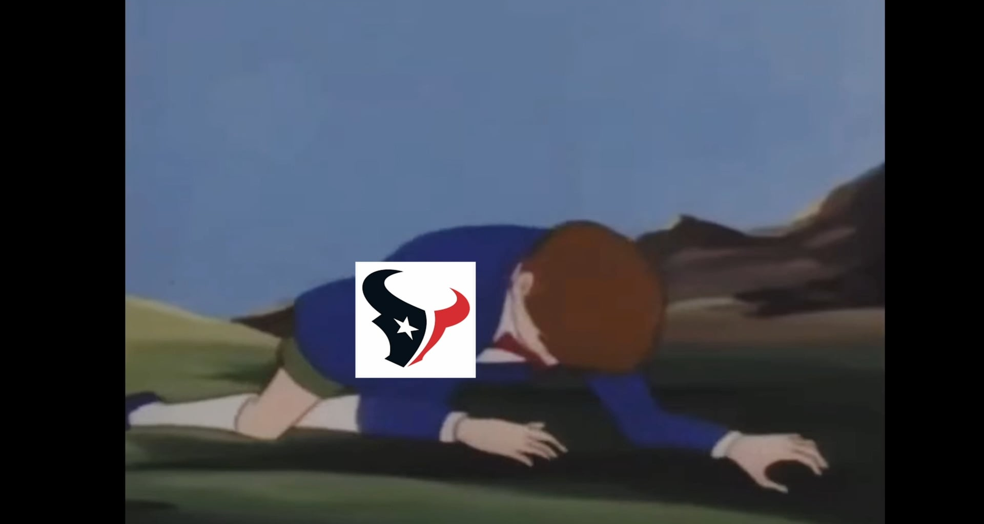 Go Texans