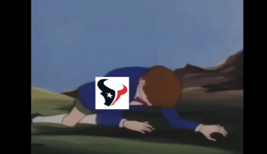 Go Texans