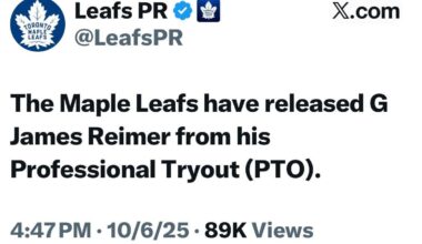 Ex-Wings goalie James Reimer released from his return to Toronto PTO following yet another multi goal blown lead!