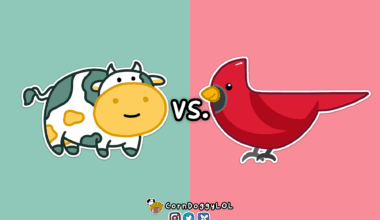 Arizona Cardinals Week 7 Matchup Doodle :)