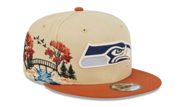 ISO: anyone have this hat they wanna sell??