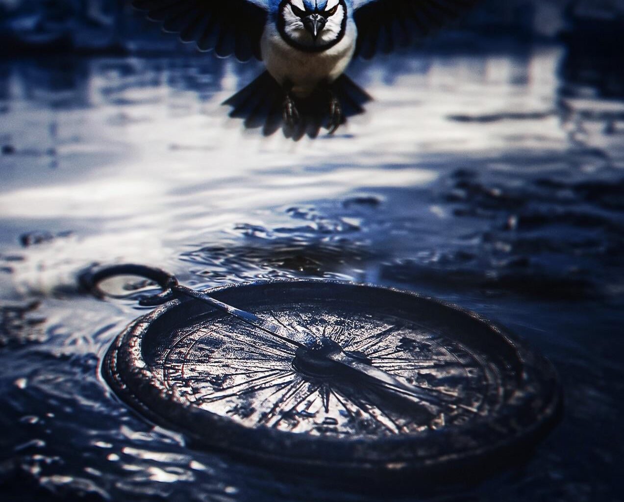 Lets go game 4.  Bring it home Jays!