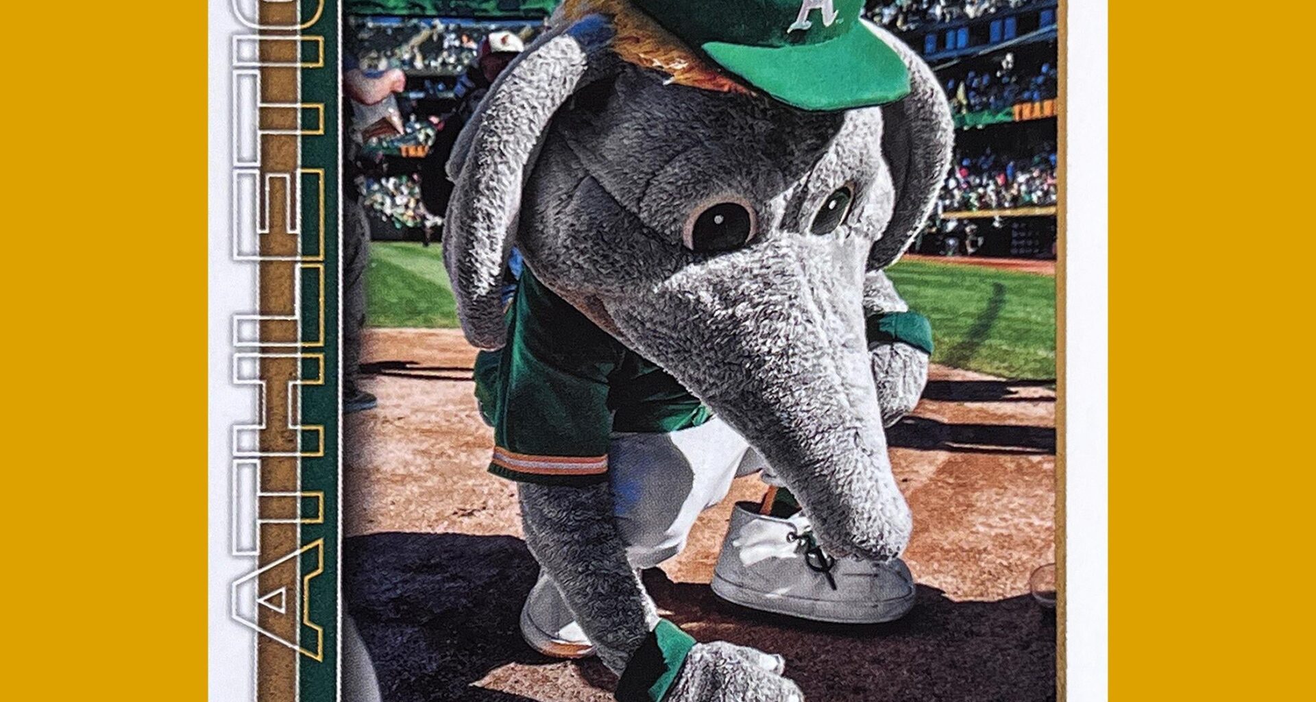 Mascot Monday with our pal Stomper...