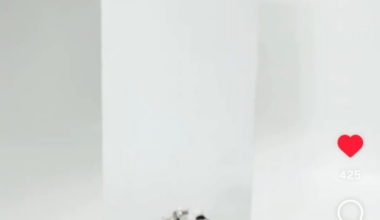 From their Instagram page. What does this mean??