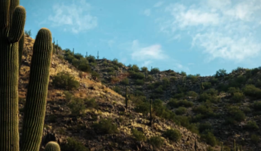 [Titans] The sweet sounds of victory