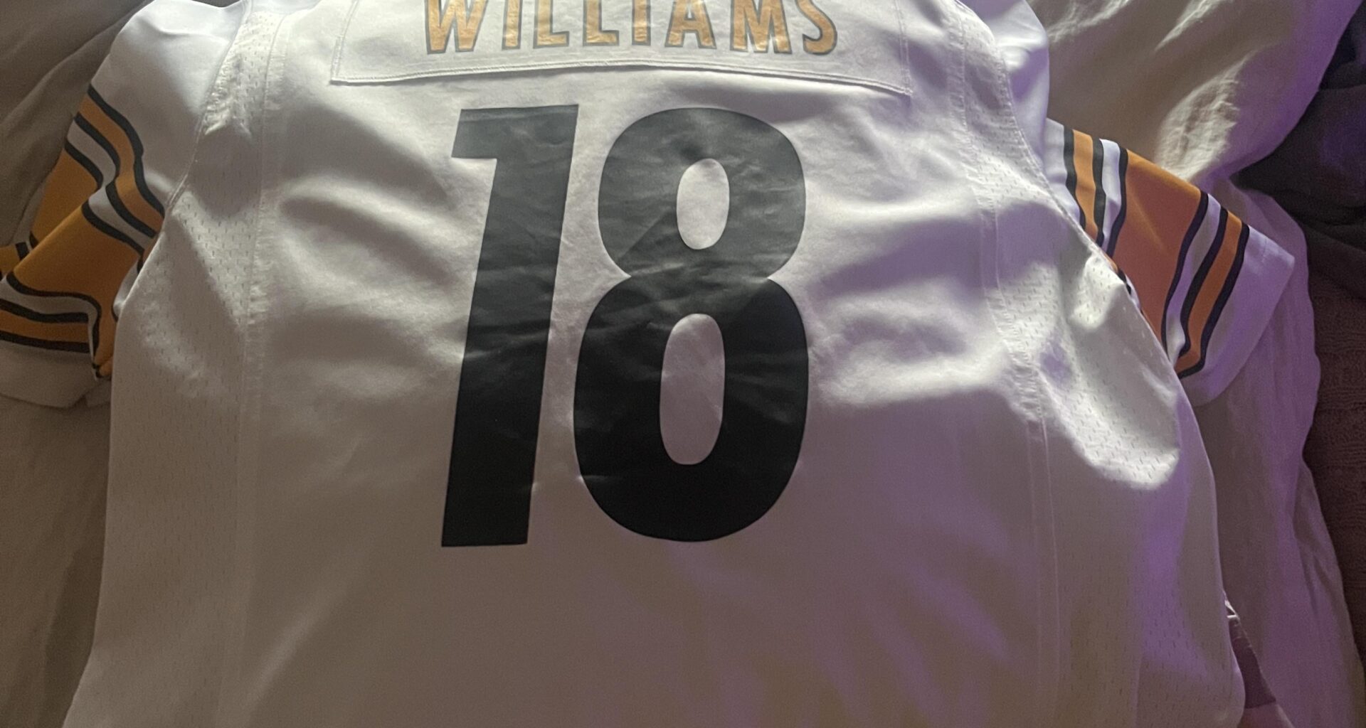 Steelers need a deep threat savior