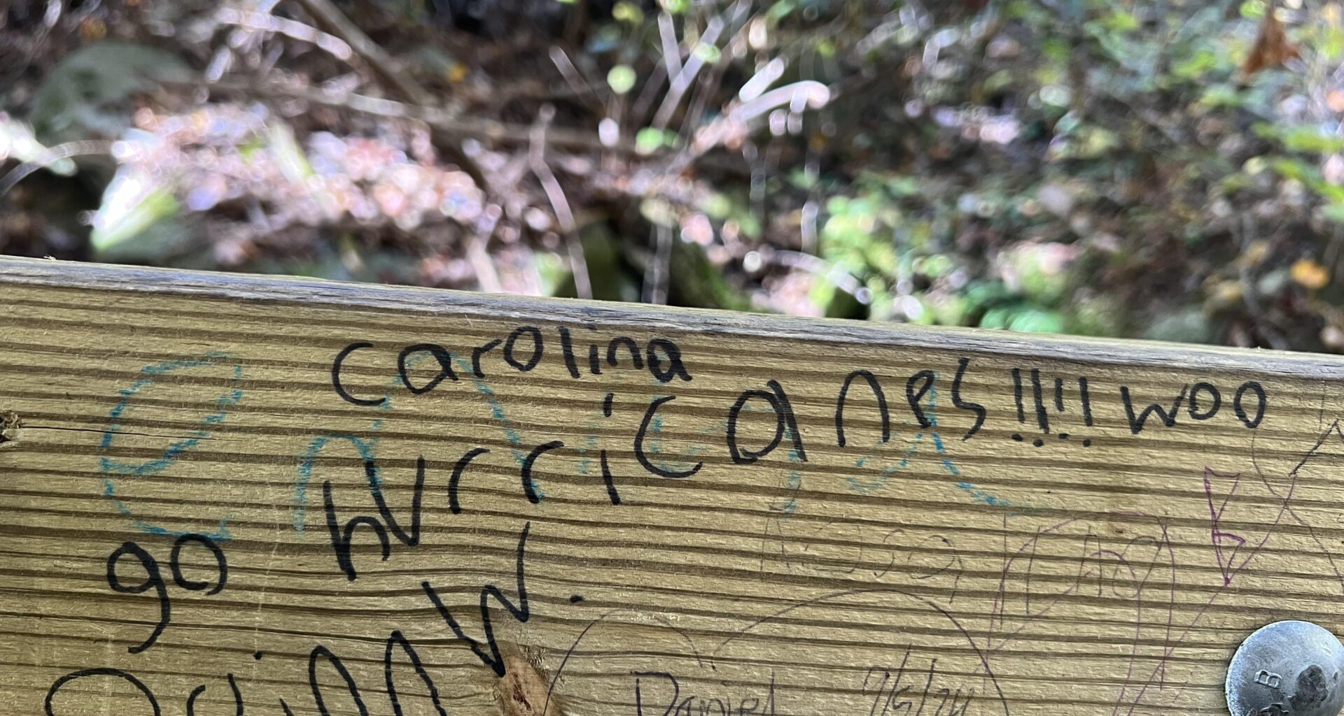 Anna Ruby Falls, Georgia: Huge Caniac
