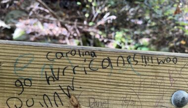 Anna Ruby Falls, Georgia: Huge Caniac