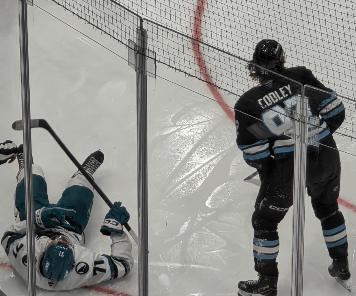 View of the Mammoth brawl from section 13