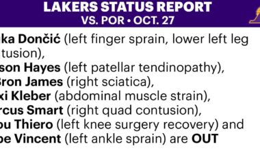 Marcus Smart and Gabe Vincent added to injury report vs POR listed as out