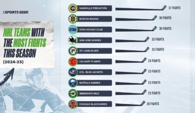 Teams that fought the most in the 2024/25 regular season