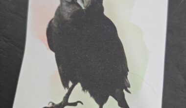 GivingTuesday stickers for canvassing