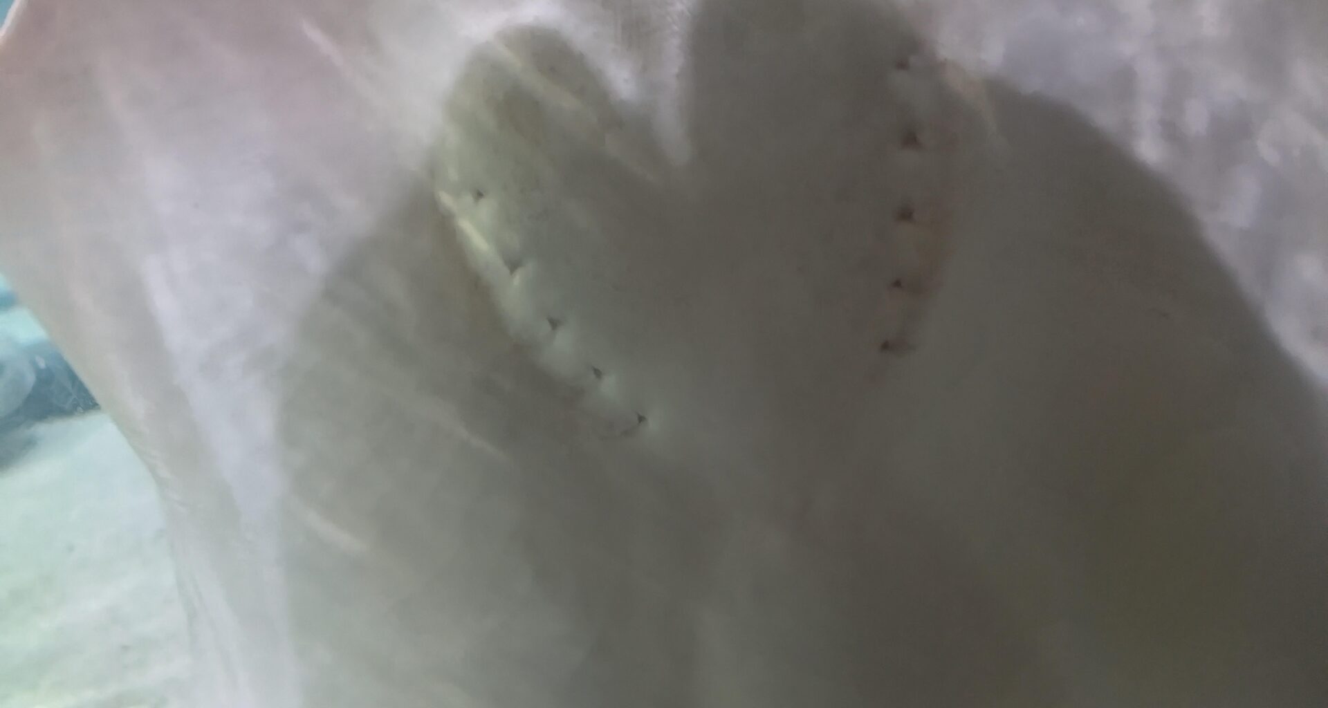 Local Ray sad about regular season but has a big heart for Snell and Glasnow in WS