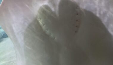 Local Ray sad about regular season but has a big heart for Snell and Glasnow in WS