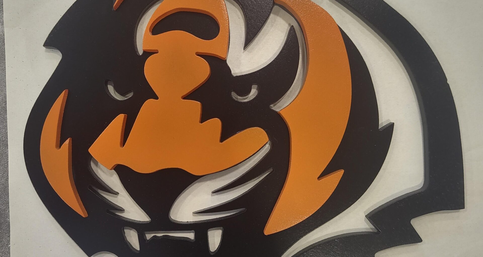 Made this in my engineering class WHO DEY!