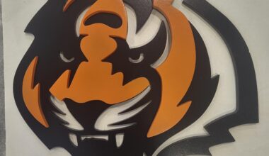 Made this in my engineering class WHO DEY!